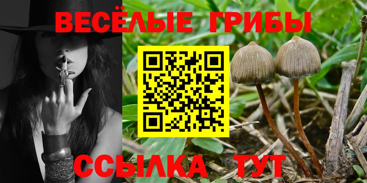 Псилоцибиновые грибы мухоморы  Вход с VPN  Прокопьевск 